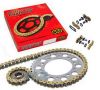 SET ΑΛΥΣΙΔΑ ΜΕ ΓΡΑΝΑΖΙΑ ΓΙΑ HONDA CBF 600 2004-07 (Χρυσή Z-Ring)