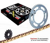 ΣΕΤ ΑΛΥΣΙΔΑ ΜΕ ΓΡΑΝΑΖΙΑ ΓΙΑ TIGER 1050 2007-> (GXW Χρυσή W-Ring)